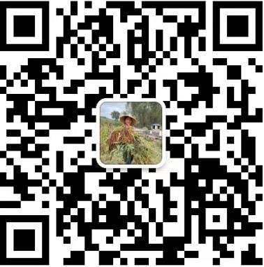 黄旗小米|富硒黄小米|承德小米|丰宁满族自治县木木佳农业开发有限公司