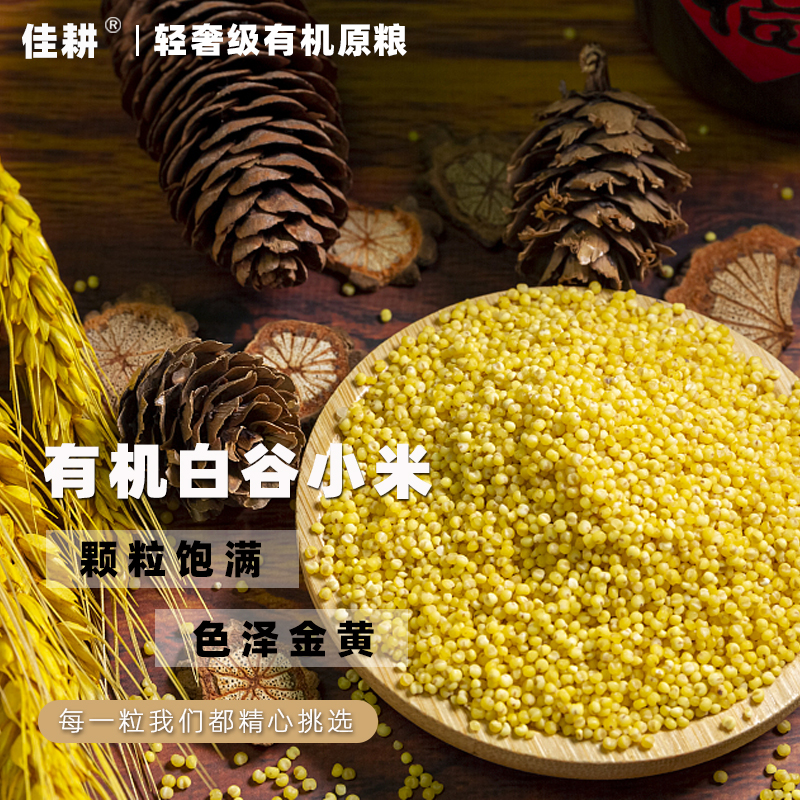 有机大白谷小米日进斗金