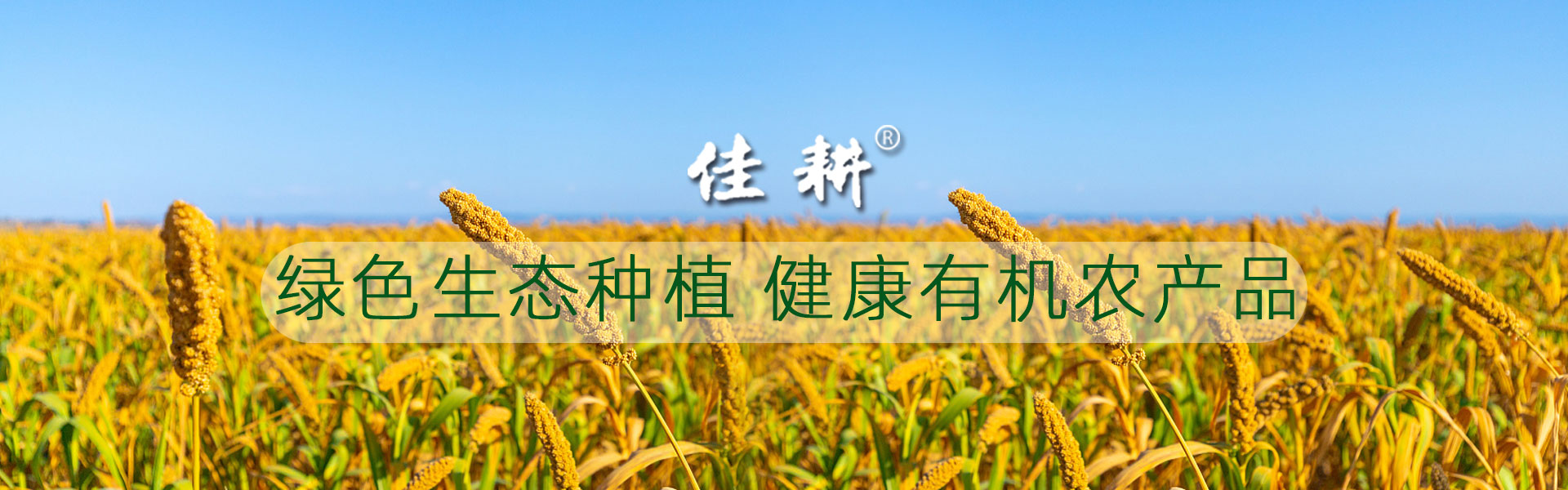 电脑版幻灯片2