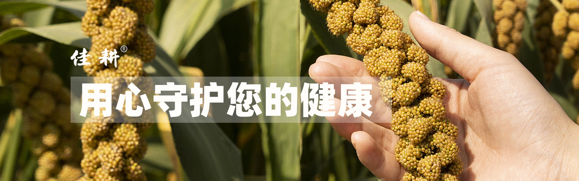 电脑版幻灯片1