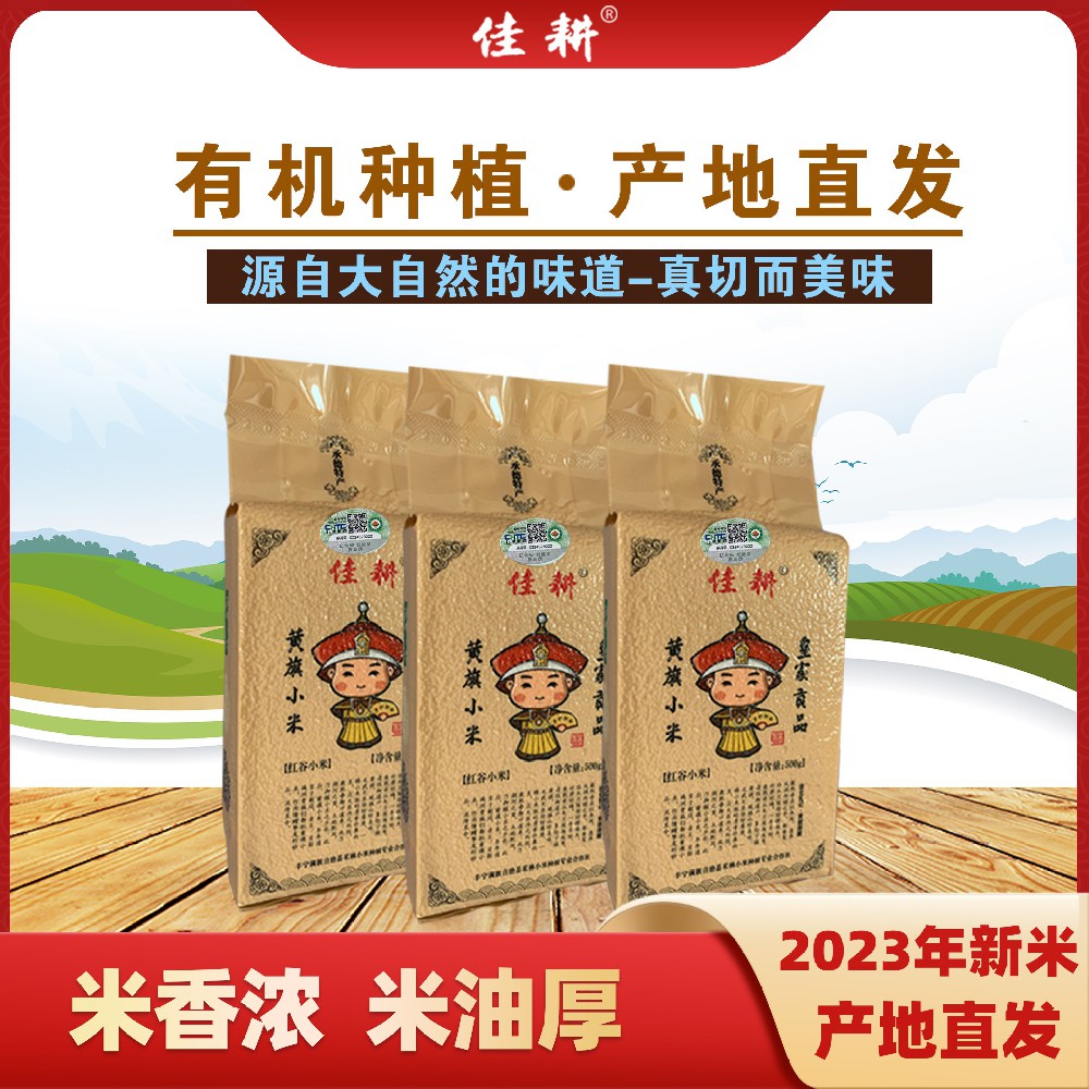 黄旗小米真空装